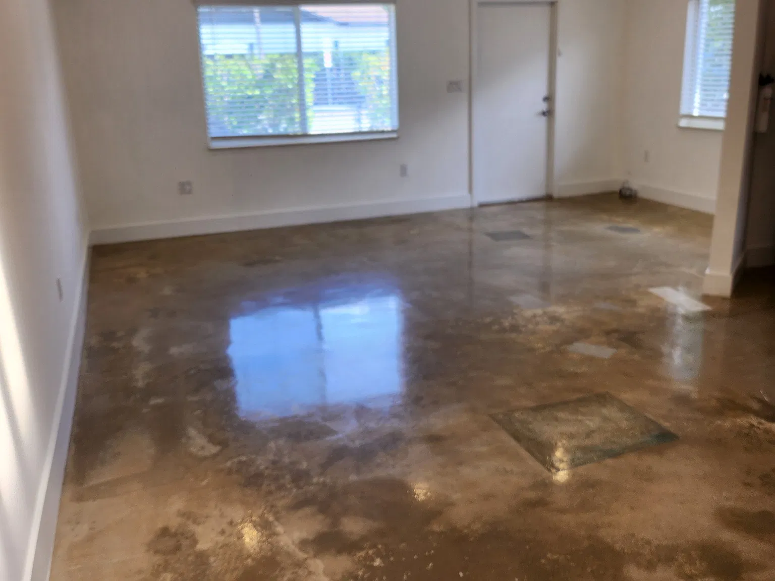4620 N Miami Ave — Photo 3