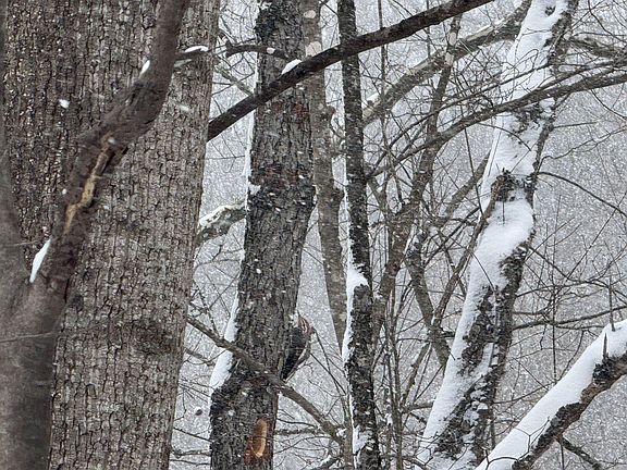 3rd image of 435 Old Long Branch Rd