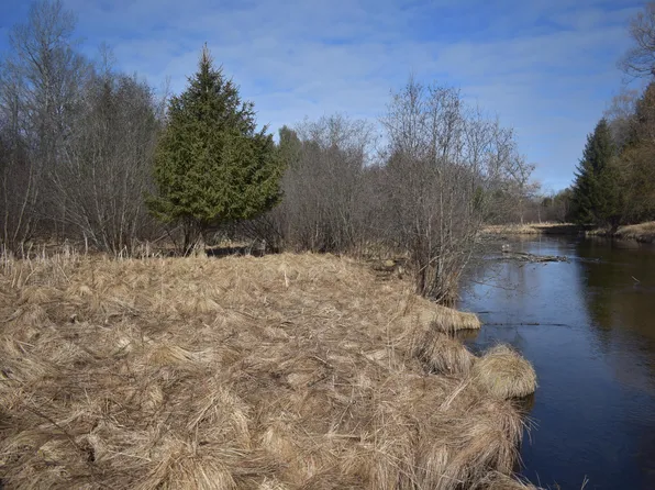 S Au Sable Trl, Grayling, MI 49738