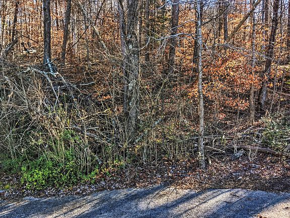 4th image of LOT 17 Echo Glen Dr