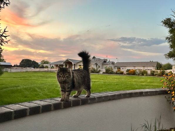 (undisclosed Address)