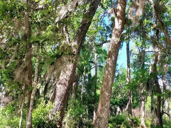 LOT-21A Preserve Trl, Waverly, GA 31565