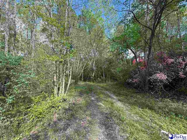 840 Lake City Hwy, Johnsonville, SC 29555