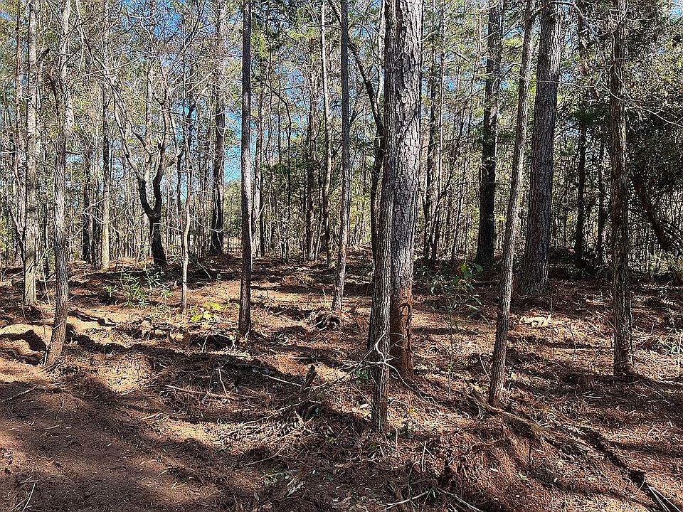 2nd image of 145 Burkes Chapel Rd