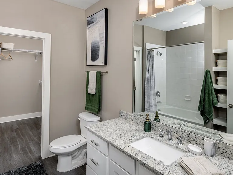 Bathroom with Large Walk-In Closet