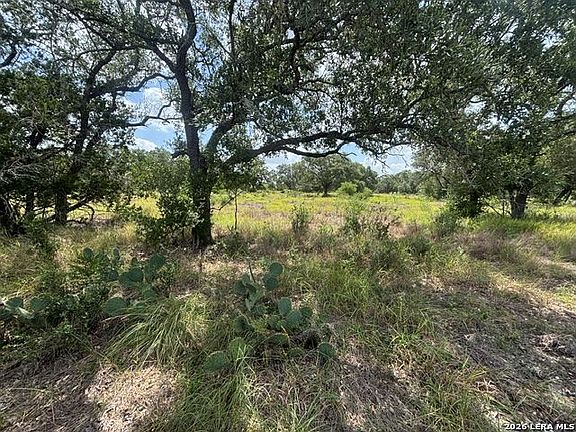 2nd image of LOT 44 Pr 2535 LOT 44