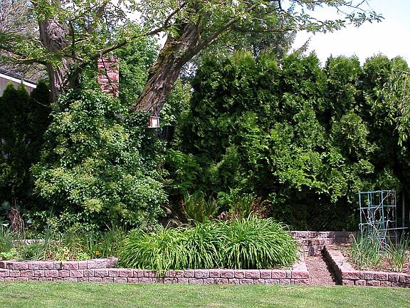 The Backyard with Raised Planter Beds for all of your vegetables!