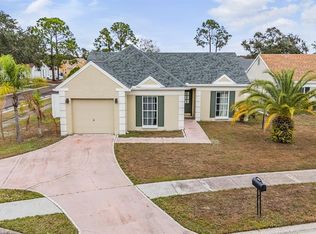 11008 Brightside Dr, Tampa, FL 33624