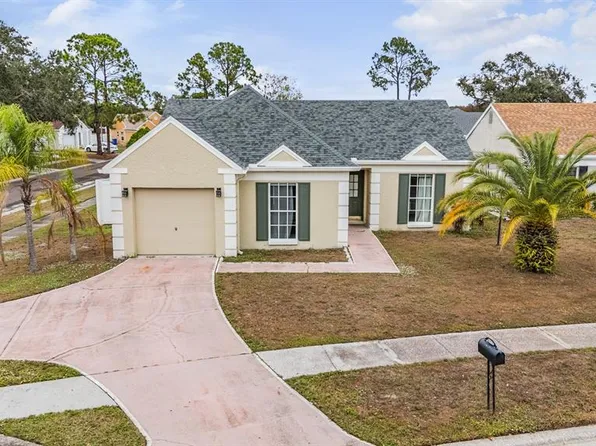11008 Brightside Dr, Tampa, FL 33624