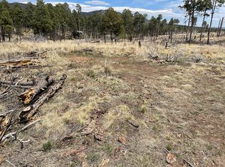 32 Dry Creek Dr, Timberon, NM 88350