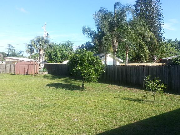 Orange, Lemon, & Mango Tree