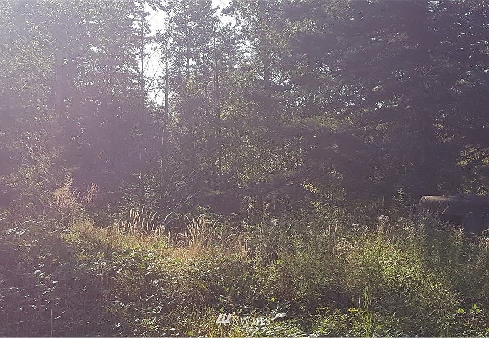 2nd image of 37 XX Toad Lake Road