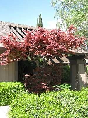 1st image of 1511 Gondola Ct