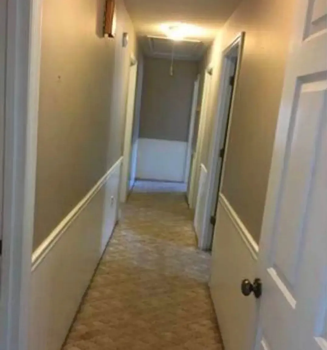 312 Holly Tree Cir — Photo 3