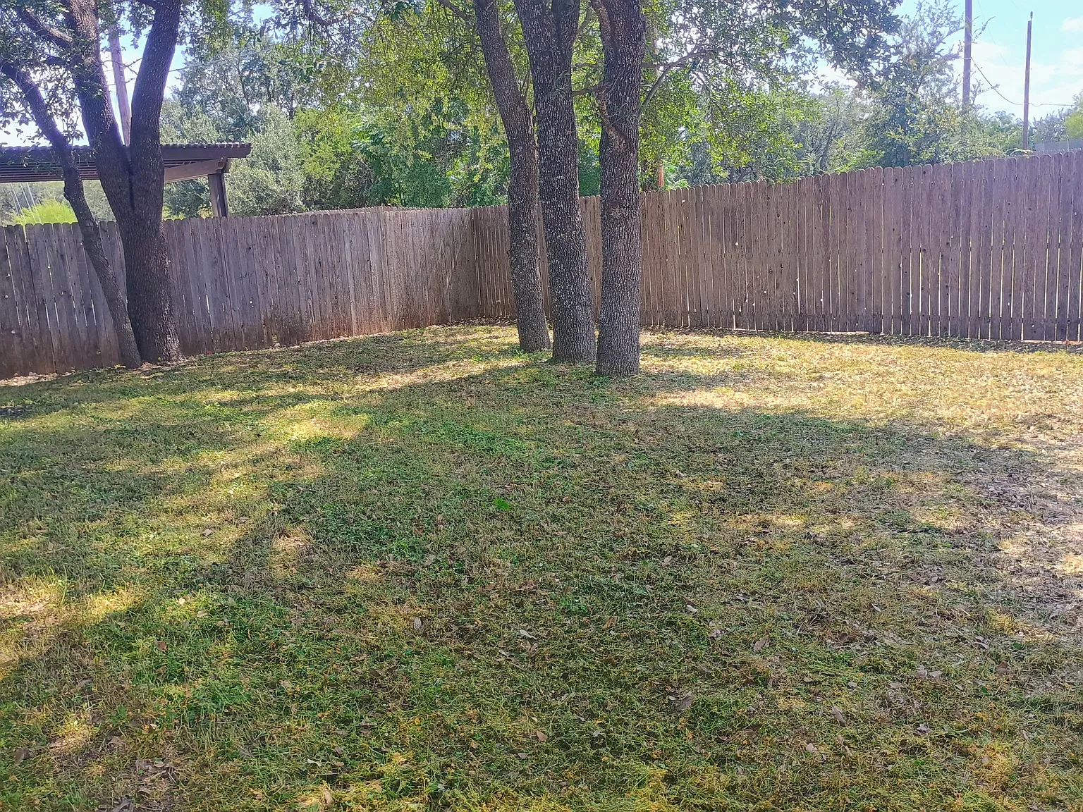 8817 Palmetto Falls — Photo 2