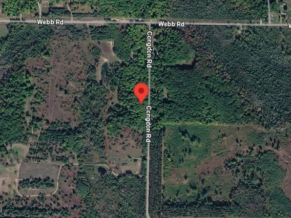 113200 Congdon Rd, Wolverine, MI 49799