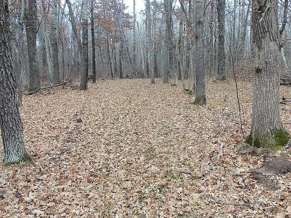 5th image of 7 Canute Creek Trl