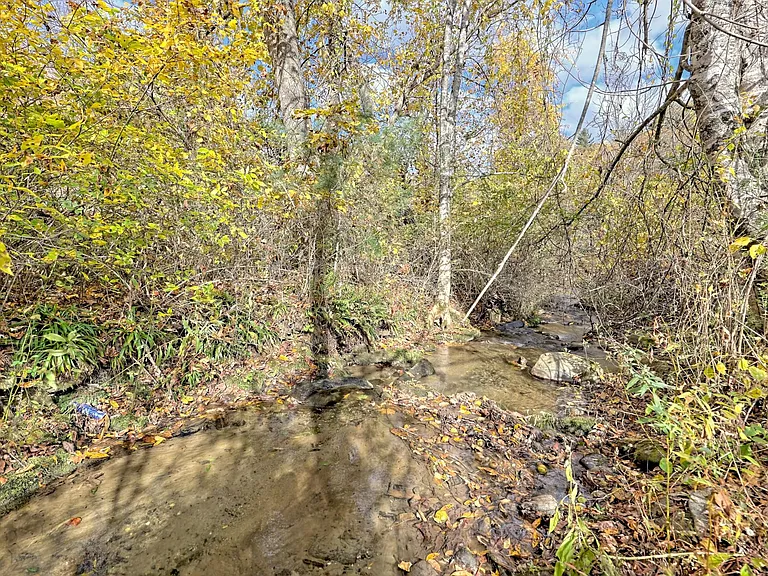 Kirklands Creek Rd — Photo 35