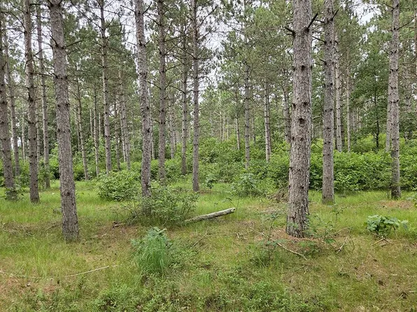 1 Hidden Trl, Nekoosa, WI 54457