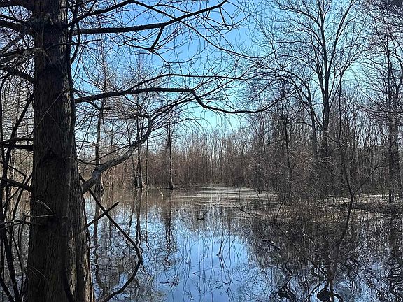 4th image of (Undisclosed Address)