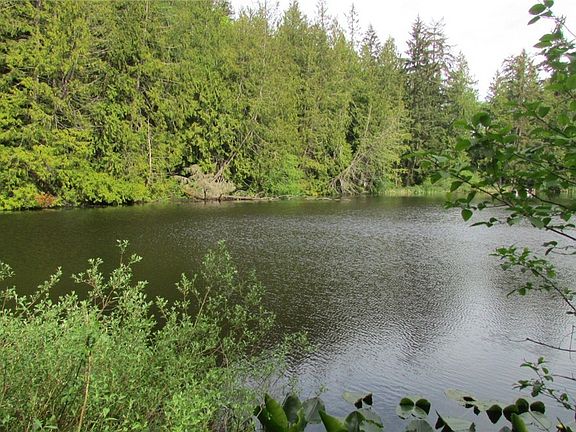 Property is straight across the lake