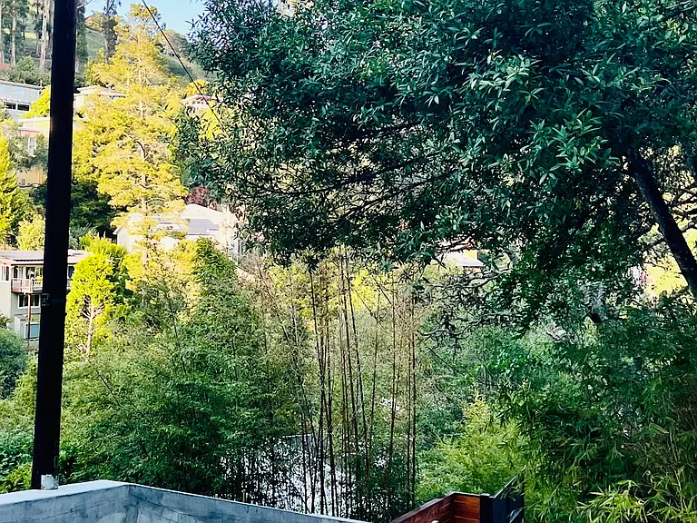 508 Laverne Ave — Photo 19