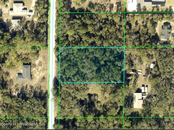 0 Alloy St, Webster, FL 33597