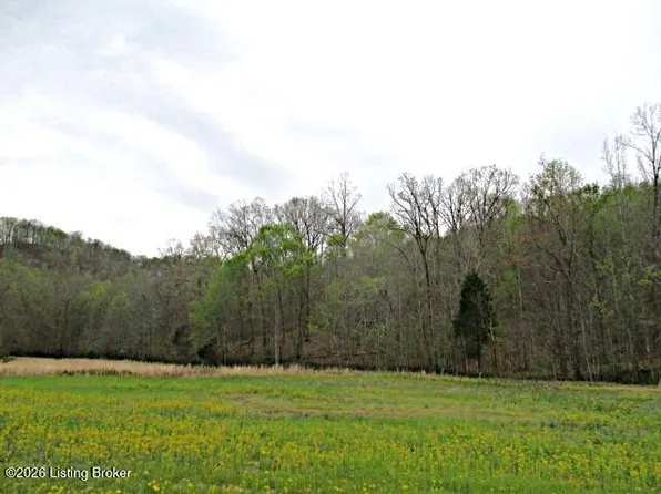 38 Sulphur Lick Rd, New Hope, KY 40052