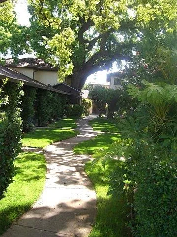 Beautiful setting