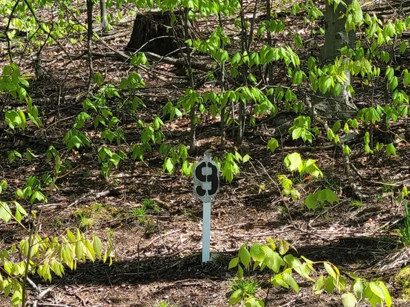 Silver Vista Ln, Mears, MI 49436