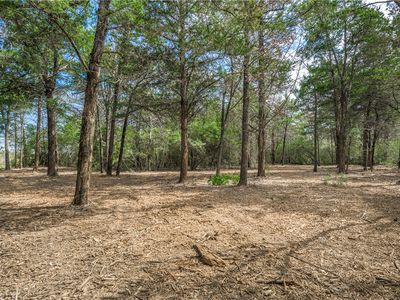 LOT 1 Independence St, Carmine, TX, 78932