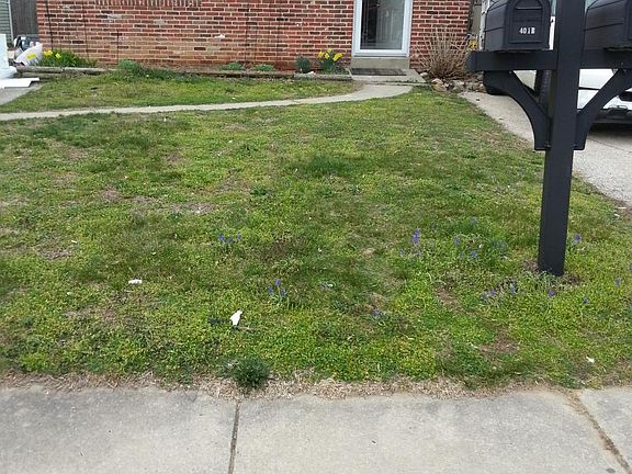 4th image of 401 Corinthian Ave Floor 1