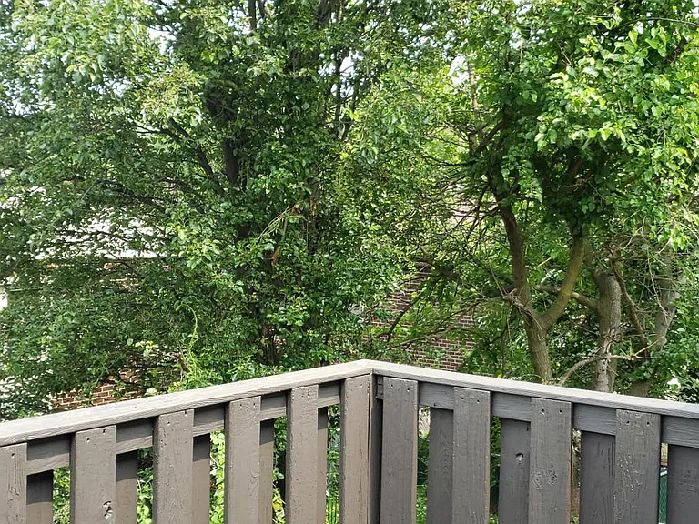 15152 Beverly Dr — Photo 28