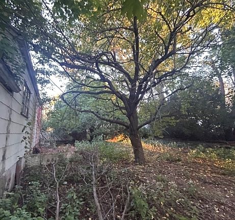 4th image of 24-08 Arcadia Rd