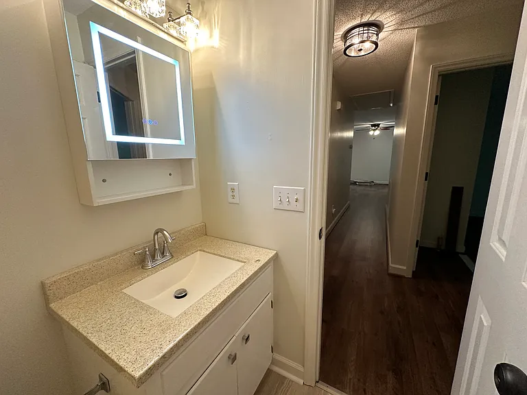 hall bathroom - updated with new lighting, paint, flooring, sink, facuet, toilet, and exhaust fan