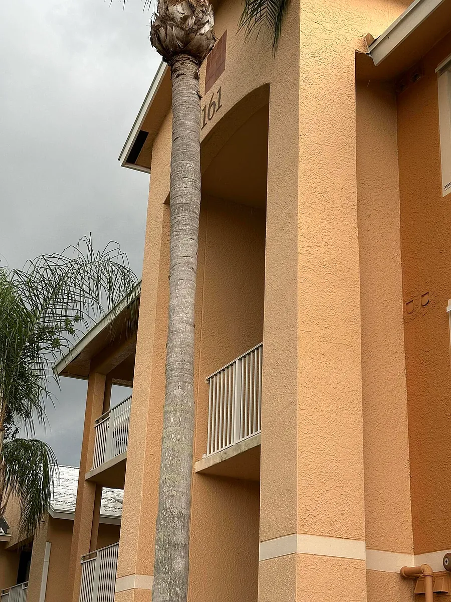 Building Photo - 161 Palm Dr #107