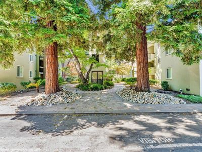 177 N El Camino Real APT 34, San Mateo, CA, 94401