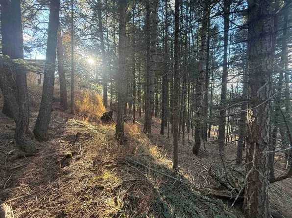 Lot 72 Mammoth Mountain Rd, Angel Fire, NM 87710