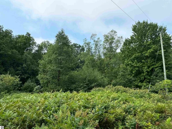 Coe Rd, Kaleva, MI 49645