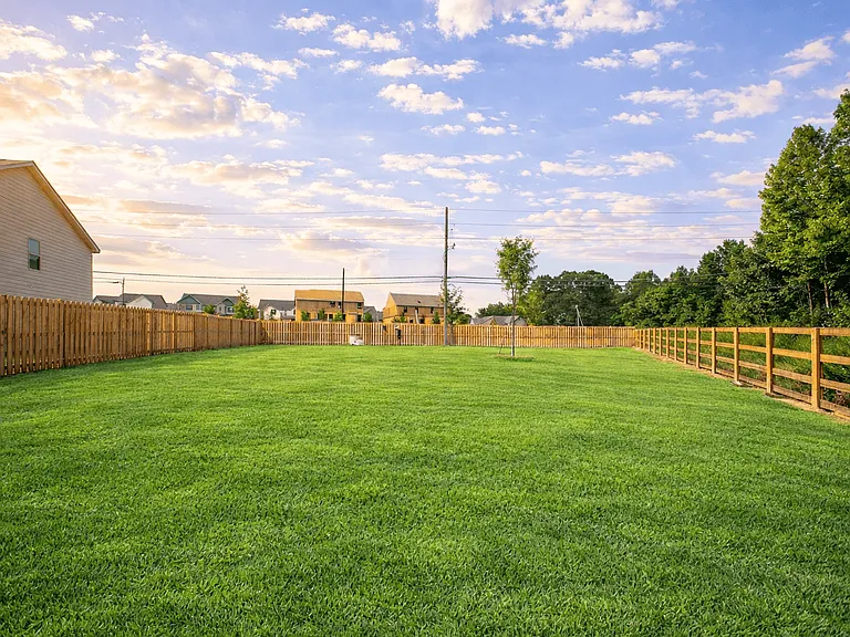 Spacious dog park designed for off-leash play and social time.