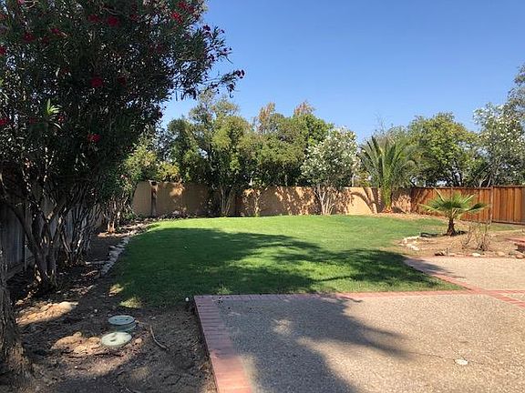 Backyard lawn area