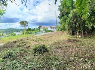Calle Pineros, Cayey, PR 00736