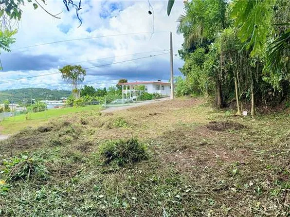 Calle Pineros, Cayey, PR 00736