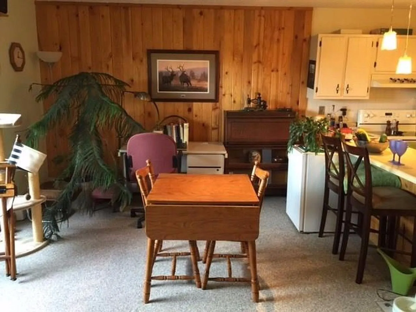 Dillon Valley West Condo! Great Natural Light! — Photo 4