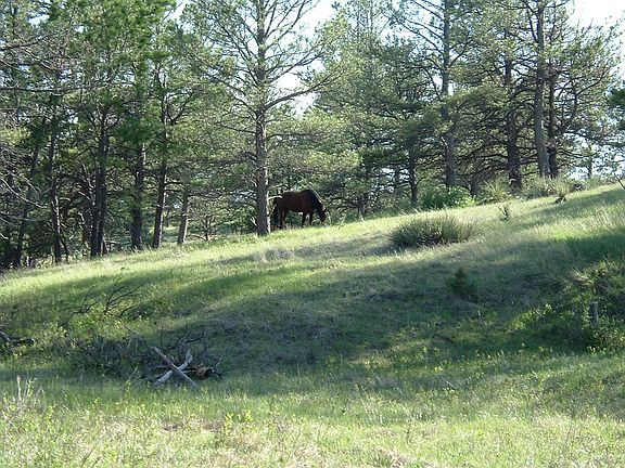2nd image of 23578 E Lost Creek Trl
