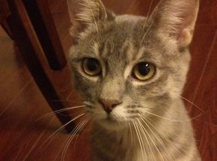 568 Boyd St, Santa Rosa, CA 95407