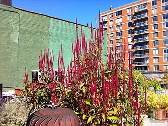 Sold by Halstead Real Estate