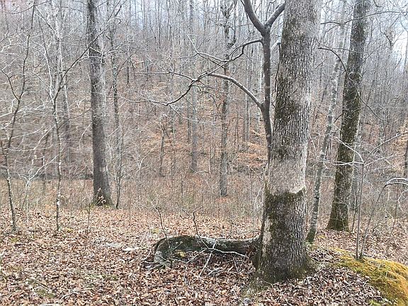 5th image of 223 Cherokee Dr