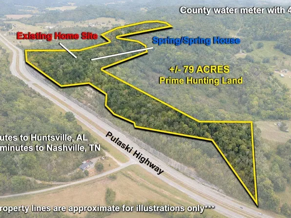 2994 Pulaski Hwy, Frankewing, TN 38459
