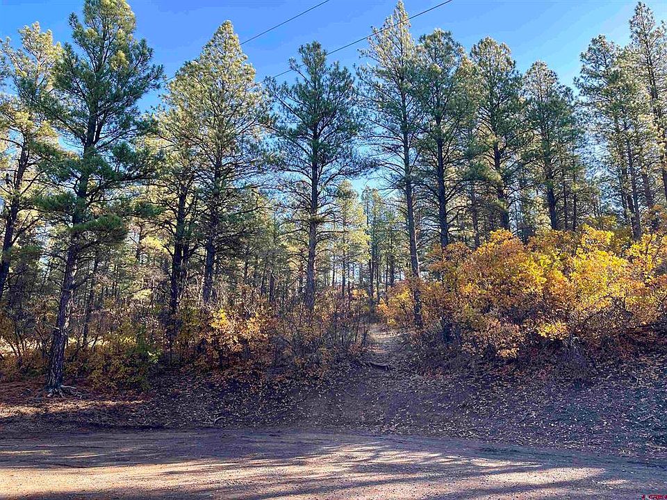 1st image of 65 Chickadee Court